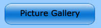 Picture Gallery